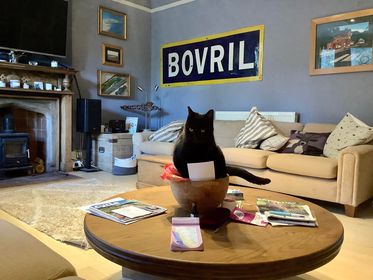 innocent drinks tweet media