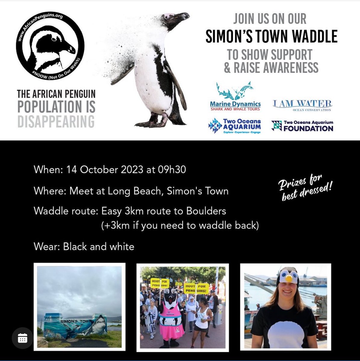 lovecapetown's tweet image. Join the biggest-ever worldwide waddle on Saturday, October 14, 2023, to highlight the looming extinction of African penguins. 🐧

Many cities, including Cape Town, are planning #NotOnOurWatch events to mark International African Penguin Awareness Day, and you can get involved👇