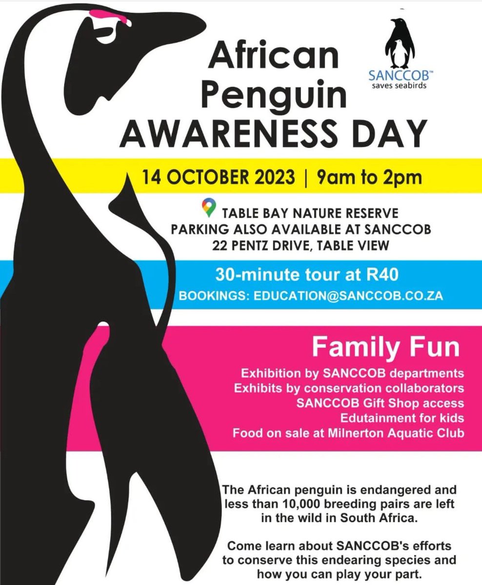 lovecapetown's tweet image. Join the biggest-ever worldwide waddle on Saturday, October 14, 2023, to highlight the looming extinction of African penguins. 🐧

Many cities, including Cape Town, are planning #NotOnOurWatch events to mark International African Penguin Awareness Day, and you can get involved👇