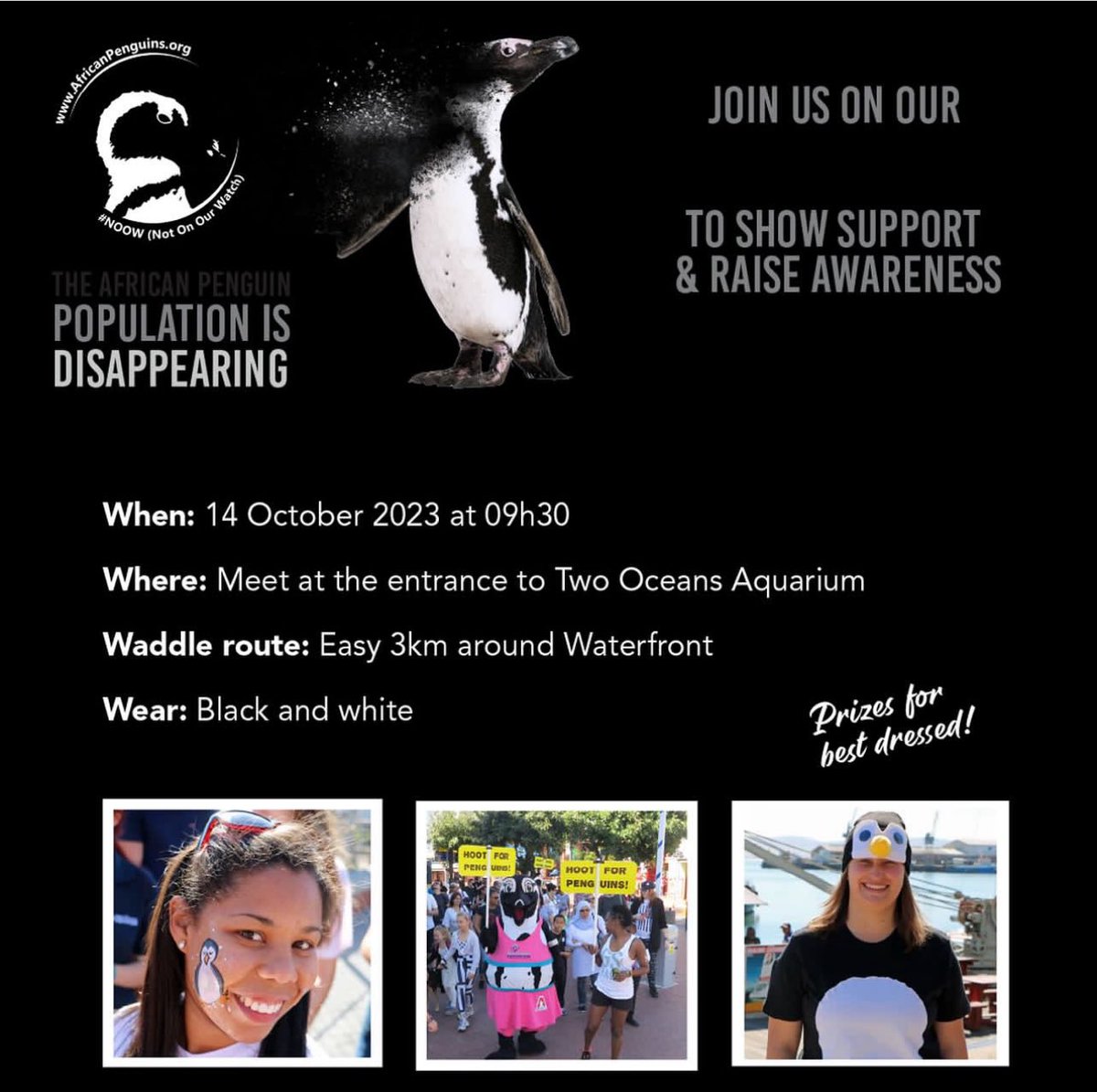 lovecapetown's tweet image. Join the biggest-ever worldwide waddle on Saturday, October 14, 2023, to highlight the looming extinction of African penguins. 🐧

Many cities, including Cape Town, are planning #NotOnOurWatch events to mark International African Penguin Awareness Day, and you can get involved👇