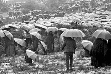 father_rmv's tweet photo. Today in Fatima in 1917, the marvelous Miracle of the Sun took place. The story begins in the village of Fatima, Portugal, on May 13, 1917. On that fateful day near that tiny village, the Blessed Virgin Mary, Mother of God, appeared to three young peasant children: Francisco, Jacinta, and Lucia; ages 10, 9 and 7. As was the custom, these youngsters were tending their family’s sheep when “a Lady all in white, more brilliant than the sun…indescribably beautiful,” standing above a bush, appeared to the youngsters.

From May through October 1917, the Lady appeared and spoke to the children on the 13th day of each month.

News of these apparitions began to spread throughout the region. The children recounted that the Virgin told them that God had sent her with a message for every man, woman, and child living in the century. She promised that God would grant peace to the entire world if Her requests for prayer, reparation and consecration were heard and obeyed. While many people believed the children had actually seen the Virgin, many others discounted the children’s story, subjecting them to much derision and ridicule. When it became known the Lady would visit the children for the last time on October 13, 1917, and had promised a sign that would convince the world she had appeared, many pilgrims made plans to attend.
￼
Though the region had been subjected to three days of torrential downpour, nearly 70,000 people journeyed through the heavy rain and mud to the place of the previous apparitions to witness the predicted miracle. Many were scornful, unbelievers whose sole intent was to discredit the children’s stories.
Suddenly the “clouds separated…and the sun appeared between them in the clear blue, like a disk of white fire.” The people could look at the sun without blinking and while they gazed upward, the huge ball began to “dance”. The huge fireball whirled rapidly with dizzy and sickening speed, flinging out all sorts of brilliant colors that reflected on the faces of the crowds. The fiery ball continued to gyrate in this manner three times, then seemed to tremble and shudder, and plunge in a mighty zigzag course toward the earth. The crowd was terrified, fearing this was the end of the world.

However, the sun reversed course and, retracing its zigzagging course, returned to its normal place in the heavens. All of this transpired in approximately ten minutes. After realizing they were not doomed, the crowd began ecstatically laughing, crying, shouting and weeping. Many discovered their previously drenched clothing to be perfectly dry.
￼
After what has become to be known as “The Miracle of the Sun,” the children were grilled many, many times, about what they had seen and been told. Their story never changed. The heart of Our Lady’s message to the world is contained in what has become known as the “Secret,” which she confided to the children in July 1917. The “Secret” actually consists of three parts. The first part of the “Secret” was a frightening vision of hell, “where the souls of poor sinners go,” and contained an urgent plea from Our Lady for acts of prayer and sacrifice to save souls, with particular emphasis on praying of the rosary and devotion to the Immaculate Heart of Mary.

The second part of the “Secret” specifically prophesied the outbreak of World War II and contained the prediction of the immense damage that Russia would do to humanity by abandoning the Christian faith and embracing Communist totalitarianism.

The third part was not revealed until 2000. Its revelation coincided with the beatification of Francisco and Jacinta. It did not contain a cataclysmic prediction, but, instead, the vision supported and affirmed the immense suffering endured by witnesses of the faith in the last century of the second millennium.  It may also be a portrayal of the Church’s continued struggle against secularism and anti-Christian movements and a continuing call to prayer, penance, and sacrifice. #Catholic #CatholicChurch