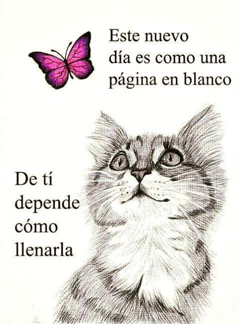 Ana Isabel (@ana_isabel80) on Twitter photo 