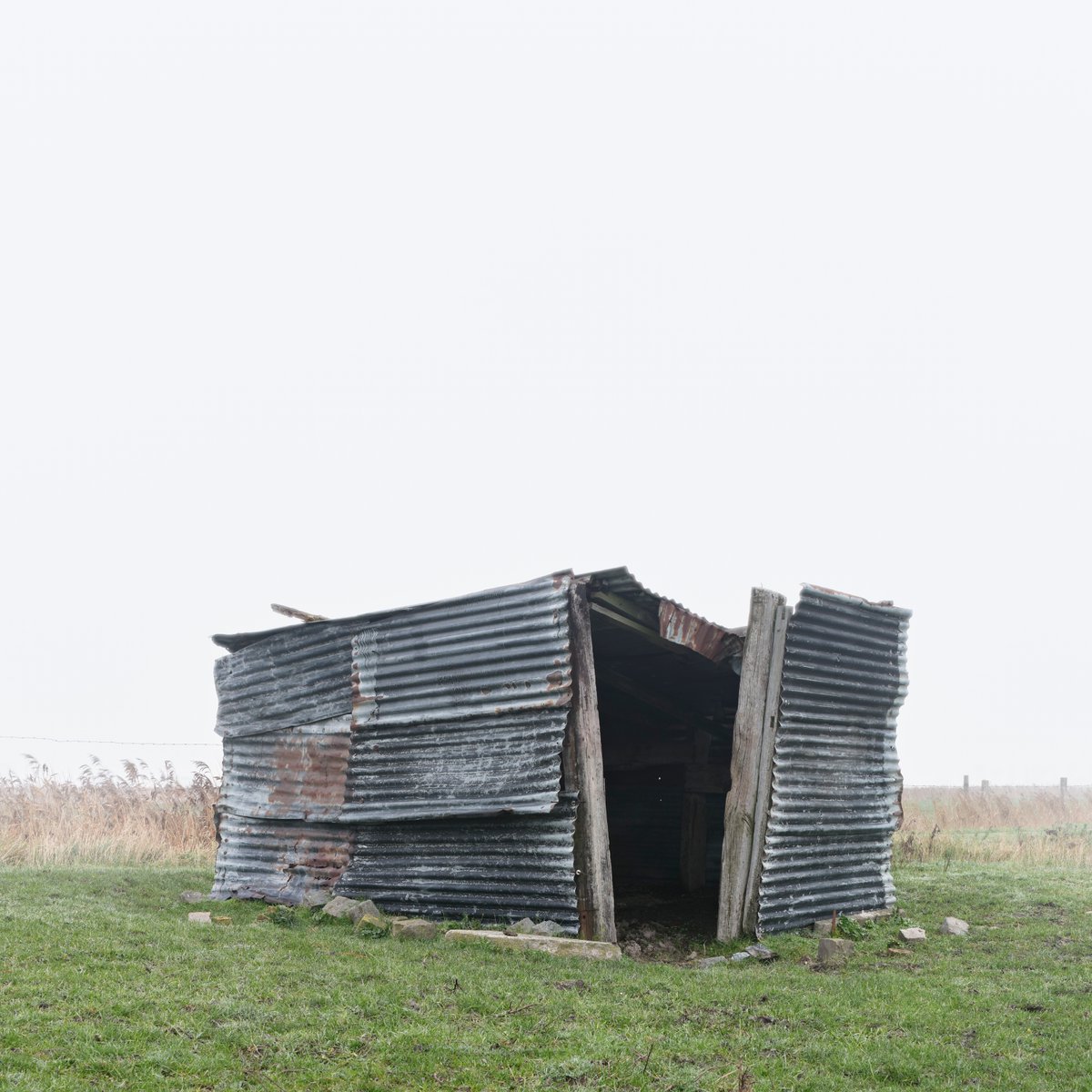 HAPPY RELEASE DAY, Bram De Looze! Today the first single of Bram's solo album 'Spotting Gateways' was released. This first track is called 'Bow'. Full album to be released January 19 on @DoxAmsterdam. 🎧 Listen now: found.ee/bow #bramdelooze #solopiano #release