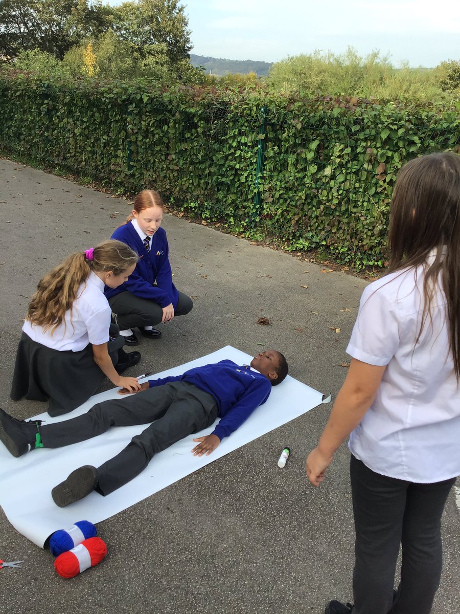DeltaGreengates's tweet photo. What a fantastic #DeltaScienceLab lesson #Year6GG 🩸🫁🧠❤️ learning all about the circulatory system and how blood is transported around the human body! #TeamGGScience @DeltaTrust_Org #KS2 #Science #everyoneisascientist https://t.co/NKNzvh3W6U