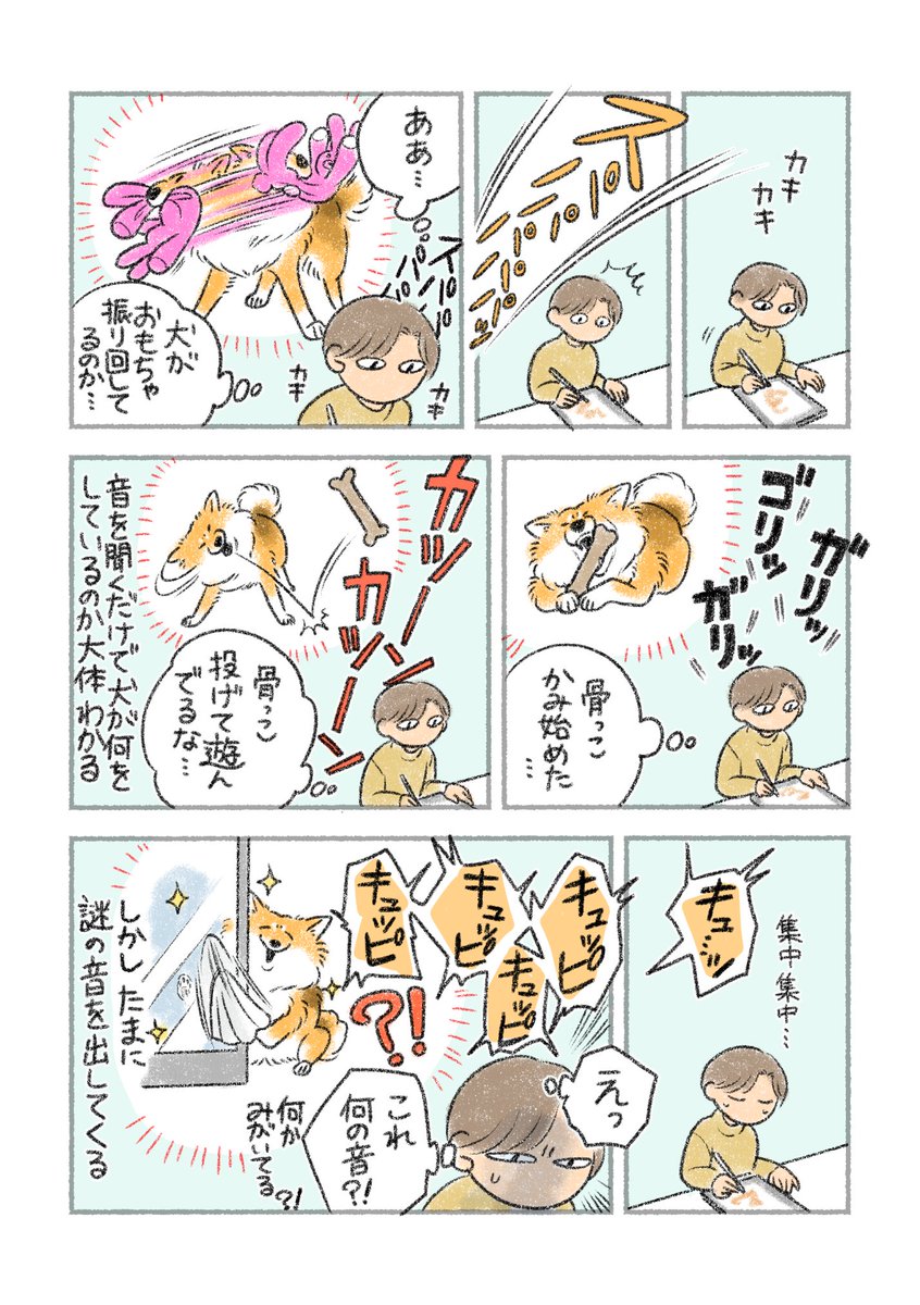 犬イントロクイズ 