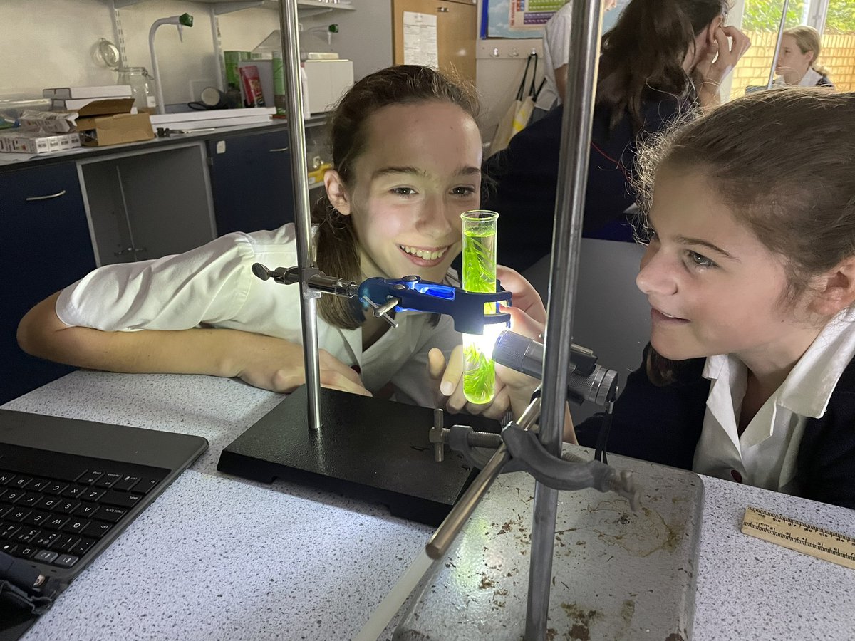 The effect of light on photosynthesis. #biology