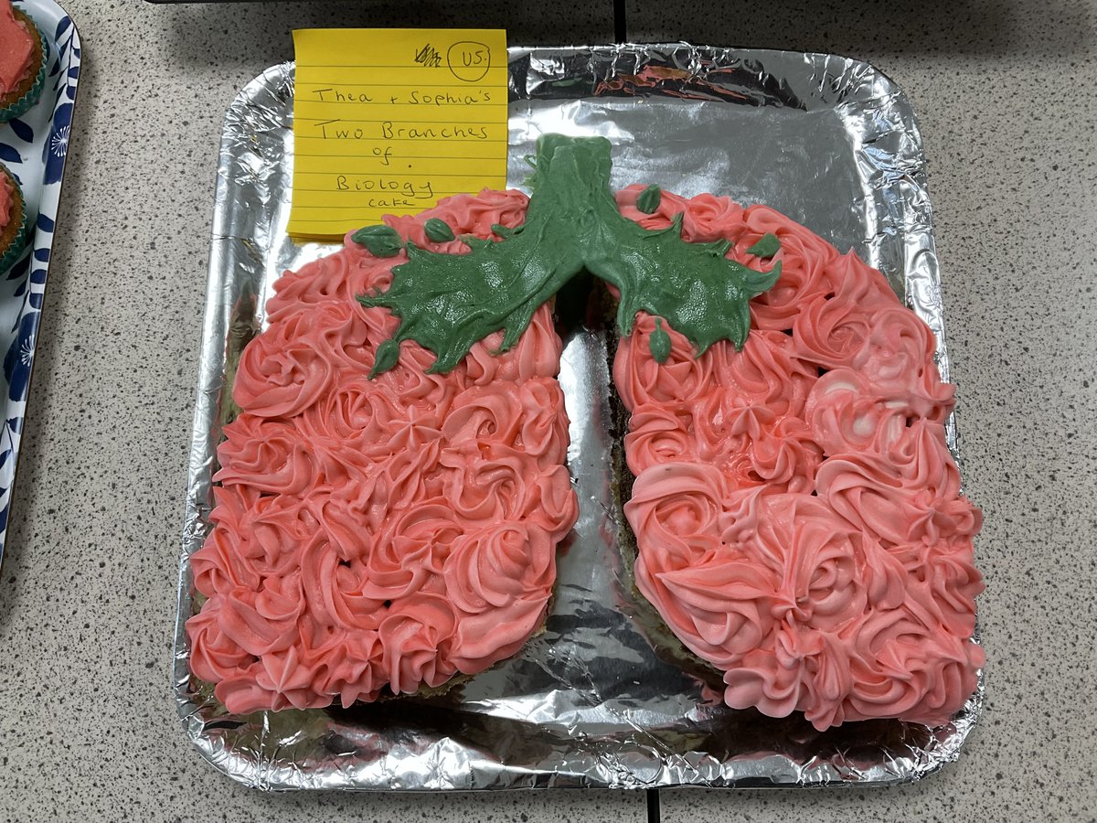 StSwithunsBio's tweet photo. The 2023 Biology Bake off was held this week as part of the Royal Society of Biology Week.  There was an amazing array of highly original, creative and biologically accurate bakes, including: the human brain, skin, lungs, mouth, eyeballs and a very realistic biology laboratory. https://t.co/jHkZ6aOhu2