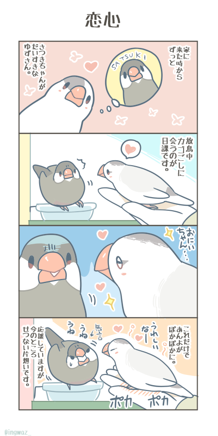 恋心。

#Buncho #javasparrow #漫画が読めるハッシュタグ 