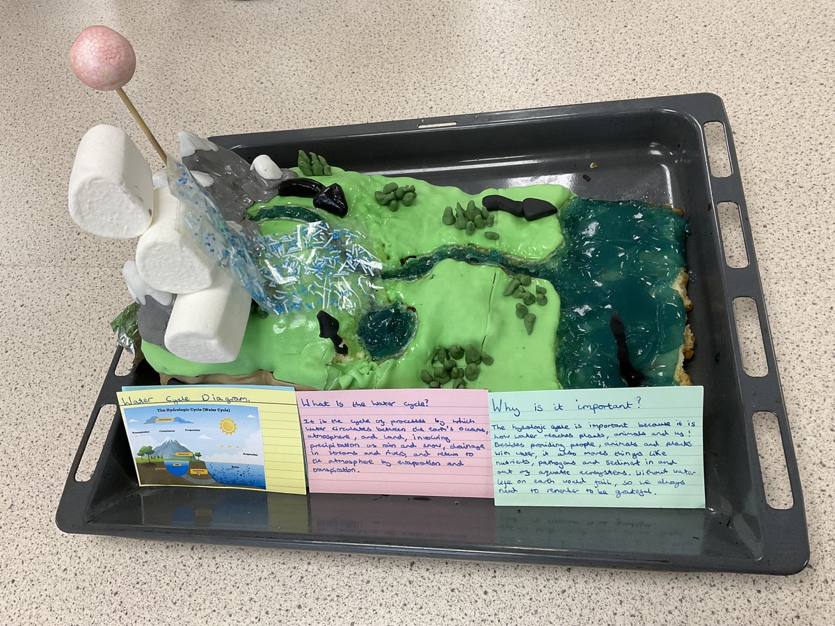 StSwithunsBio's tweet photo. The 2023 Biology Bake off was held this week as part of the Royal Society of Biology Week.  There was an amazing array of highly original, creative and biologically accurate bakes, including: the human brain, skin, lungs, mouth, eyeballs and a very realistic biology laboratory. https://t.co/jHkZ6aOhu2