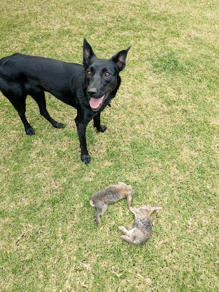 She is becoming self-sufficient.