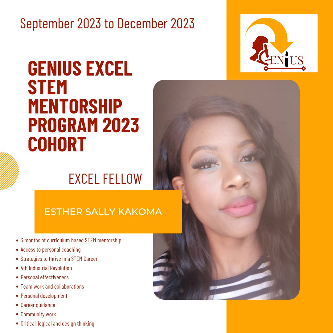 Genius Education Zambia tweet media