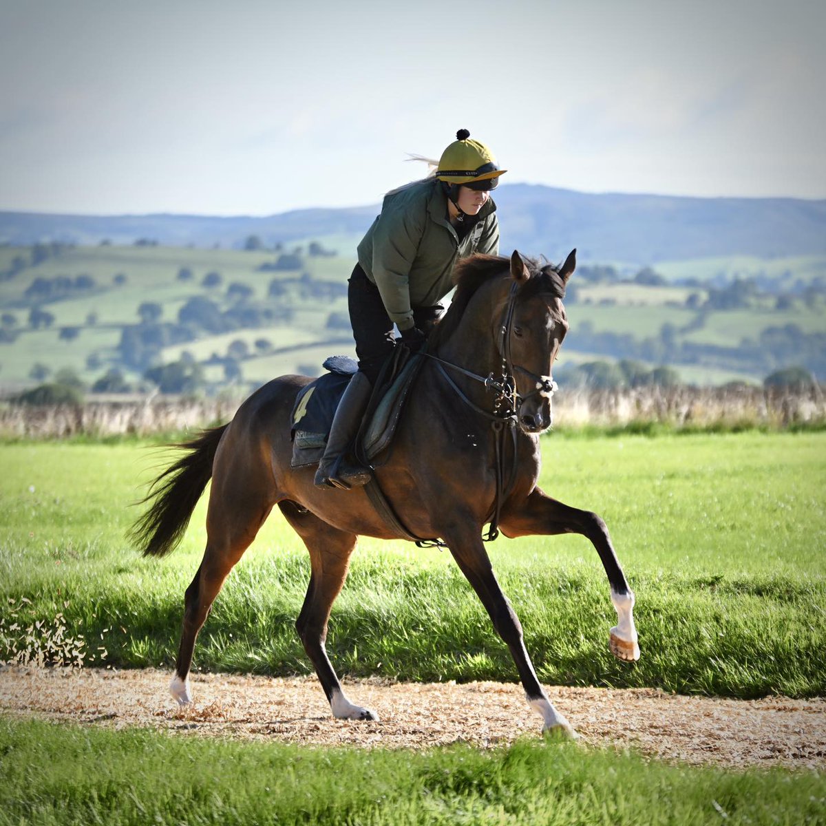 Henry Daly Racing tweet media