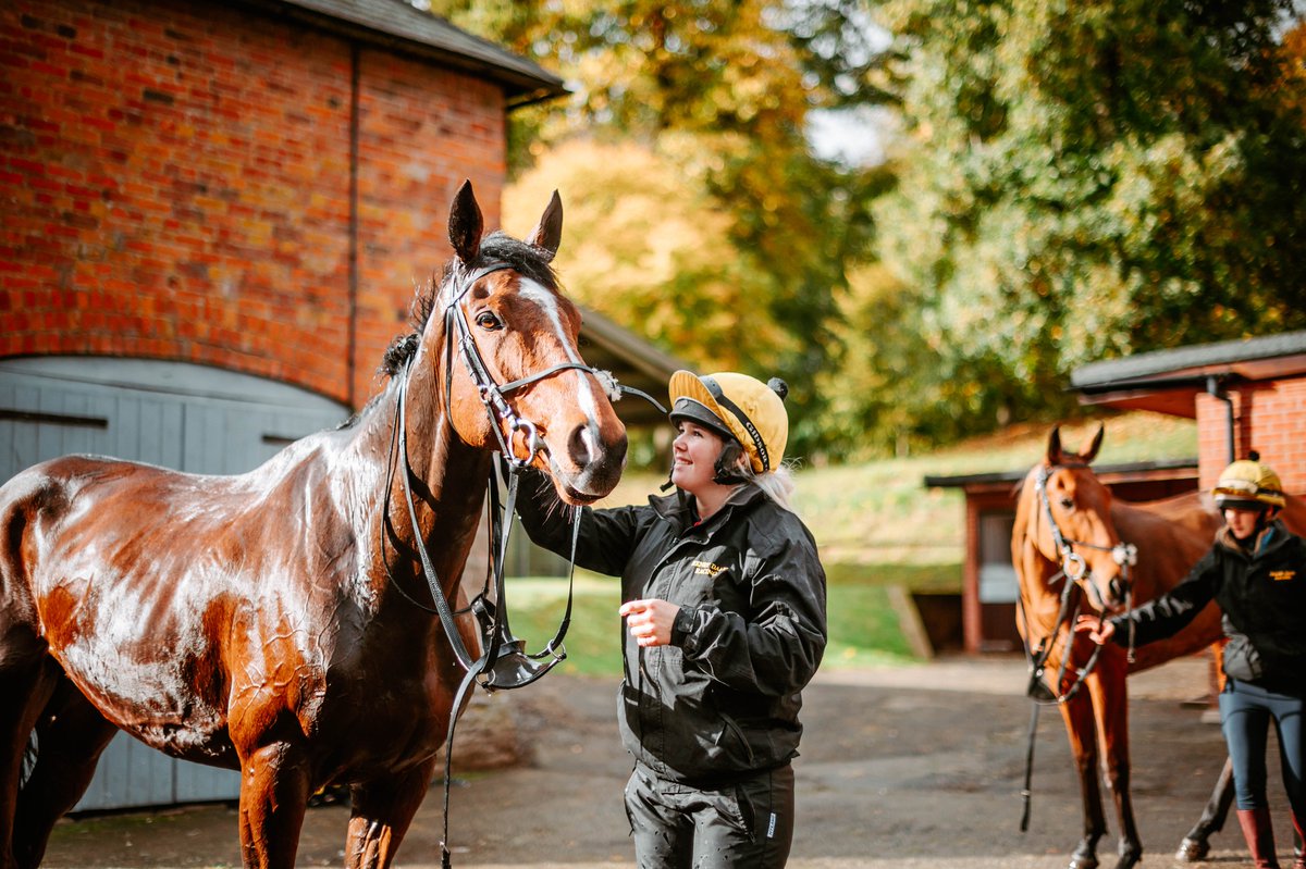 Henry Daly Racing tweet media