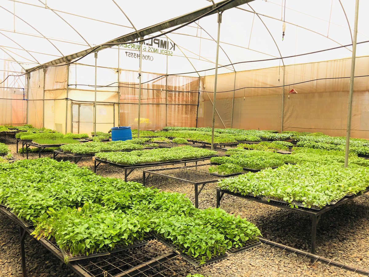 Jannettoroitich's tweet photo. Agriculture is for the educated,for the innovators,for the visionaries.
Agriculture is the best weapon against hunger and poverty.That’s why agriculture needs the youth.Or rather,the youth need agriculture.
🌱

#MboleaNiYara https://t.co/H5Ajxg8o9g