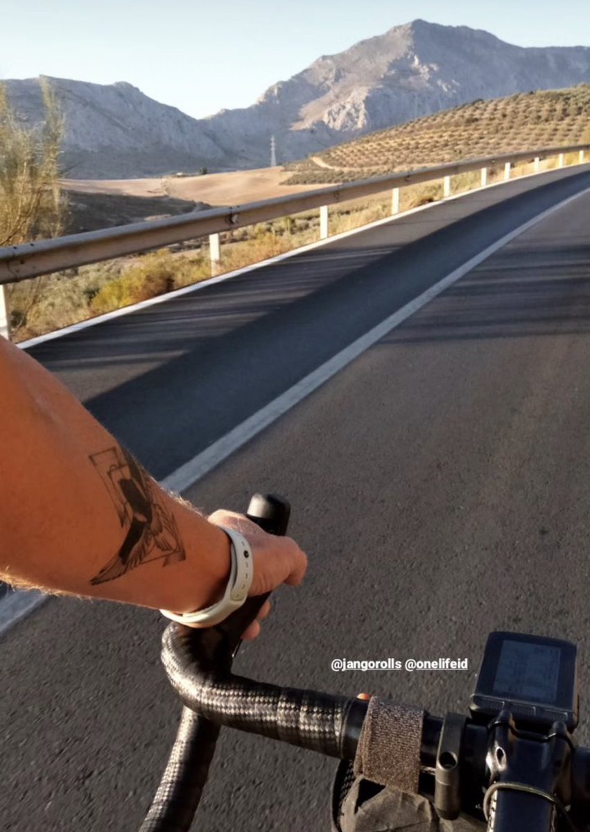 OneLifeID tweet media