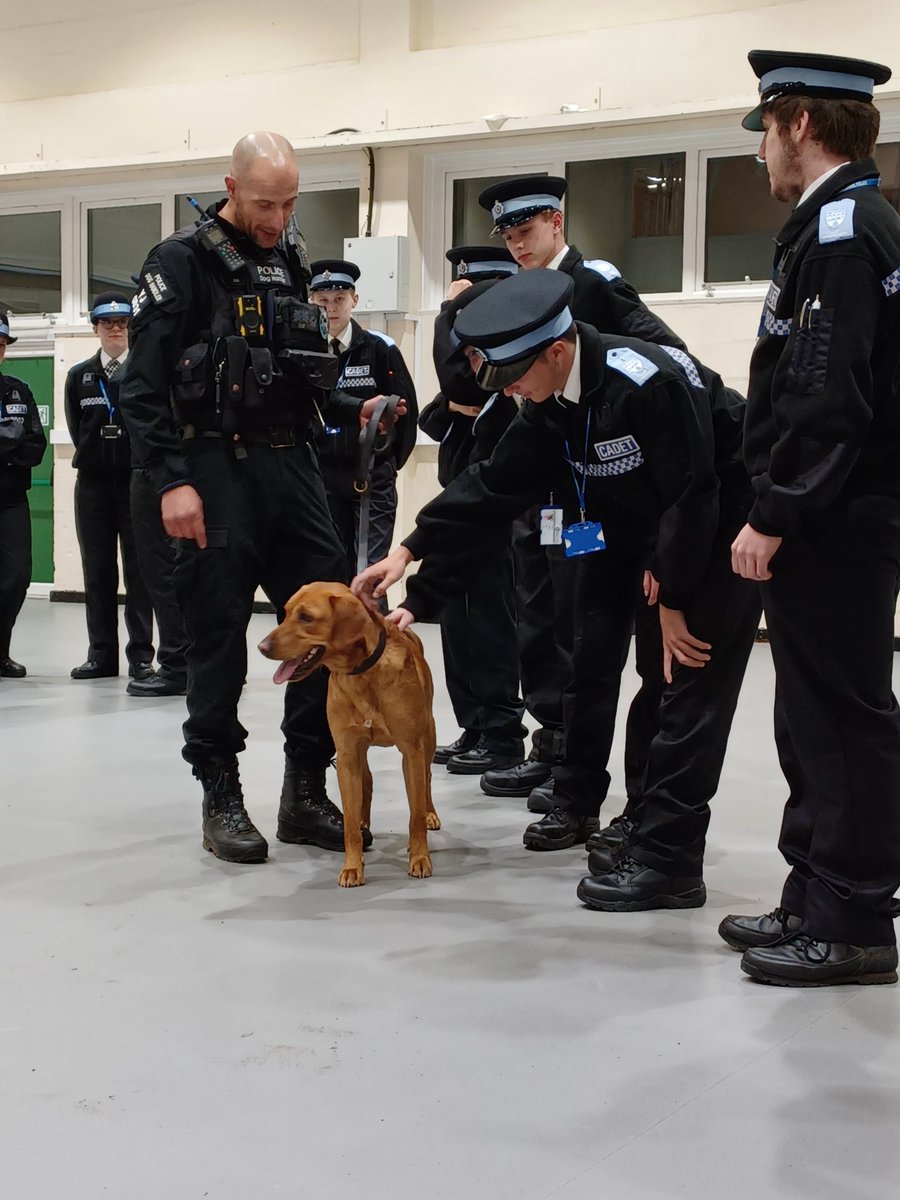WarksCadets's tweet photo. Yesterday evening the senior cadets had an input on the role of a traffic officer &amp; what they do to make our road networks a safer place to travel #Warwickshire They also had an input on Police dogs. Massive thanks to PC Tredwell from @OPUWarks &amp; PC Bonser from @WarksPoliceDogs https://t.co/jiljP6xuVz