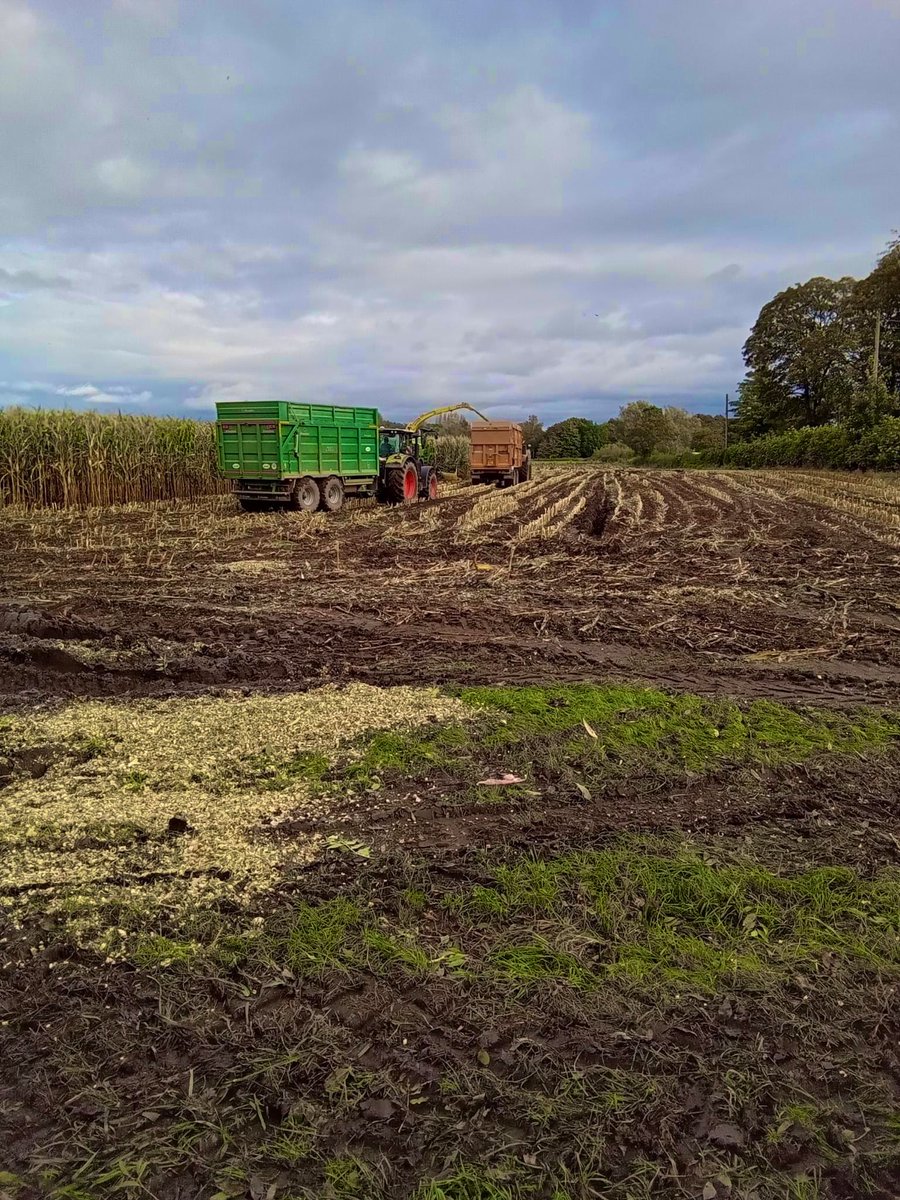 EvolutionChildC's tweet photo. Spontaneous learning opportunities are always the best!

#evolutionchildcare #localcommunity #eyfs #inthemomentlearning #farmers #farming https://t.co/9PinRRVBK9