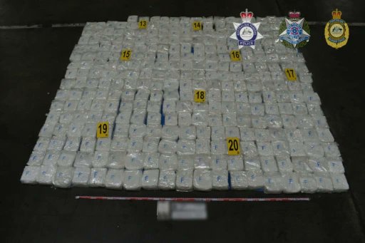 Narcodiario tweet media