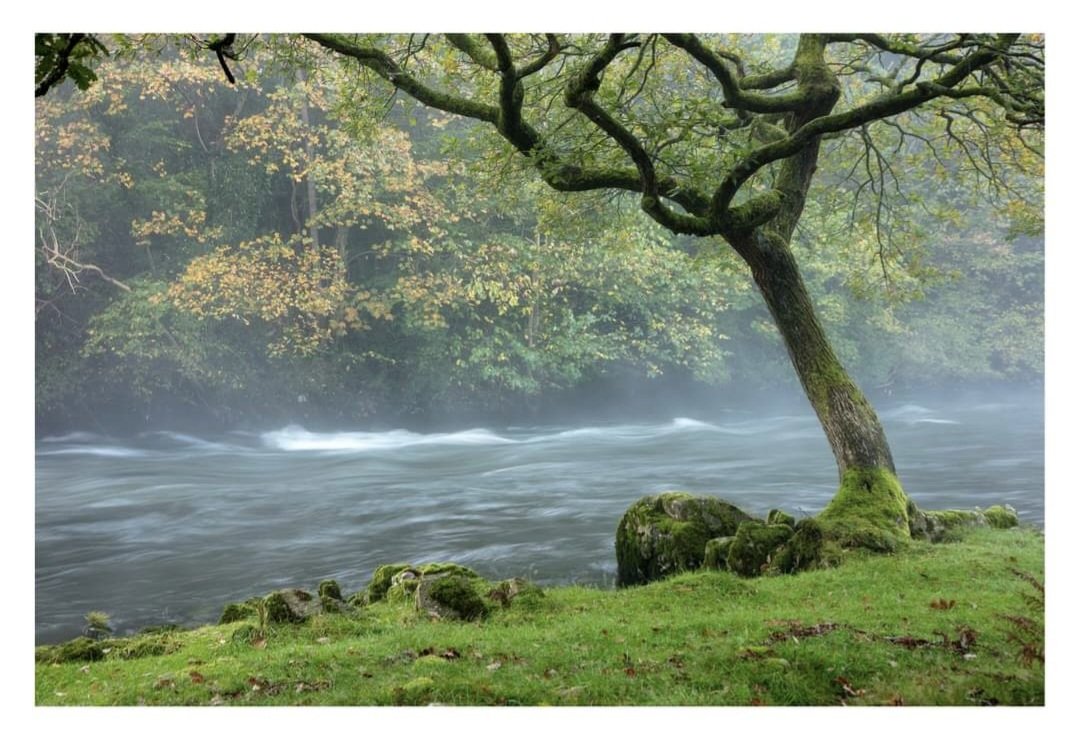 Had a few hours wandering around the river Leven yesterday morning. The mist kept drifting around as you can see from this image. 
#igerscumbria capturingbritain #yourebritain #capturewithconfidence #nationalparksuk #ukshots #bbccountryfilemag #canonuk #Leefilters  #manfrotto