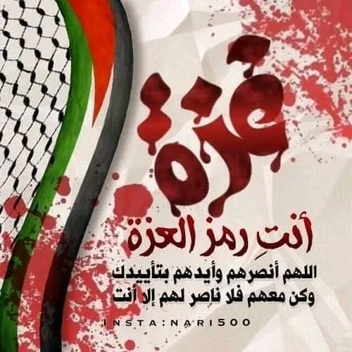 د/ سمرالمنسي 🇪🇬 (@marwah515) on Twitter photo 