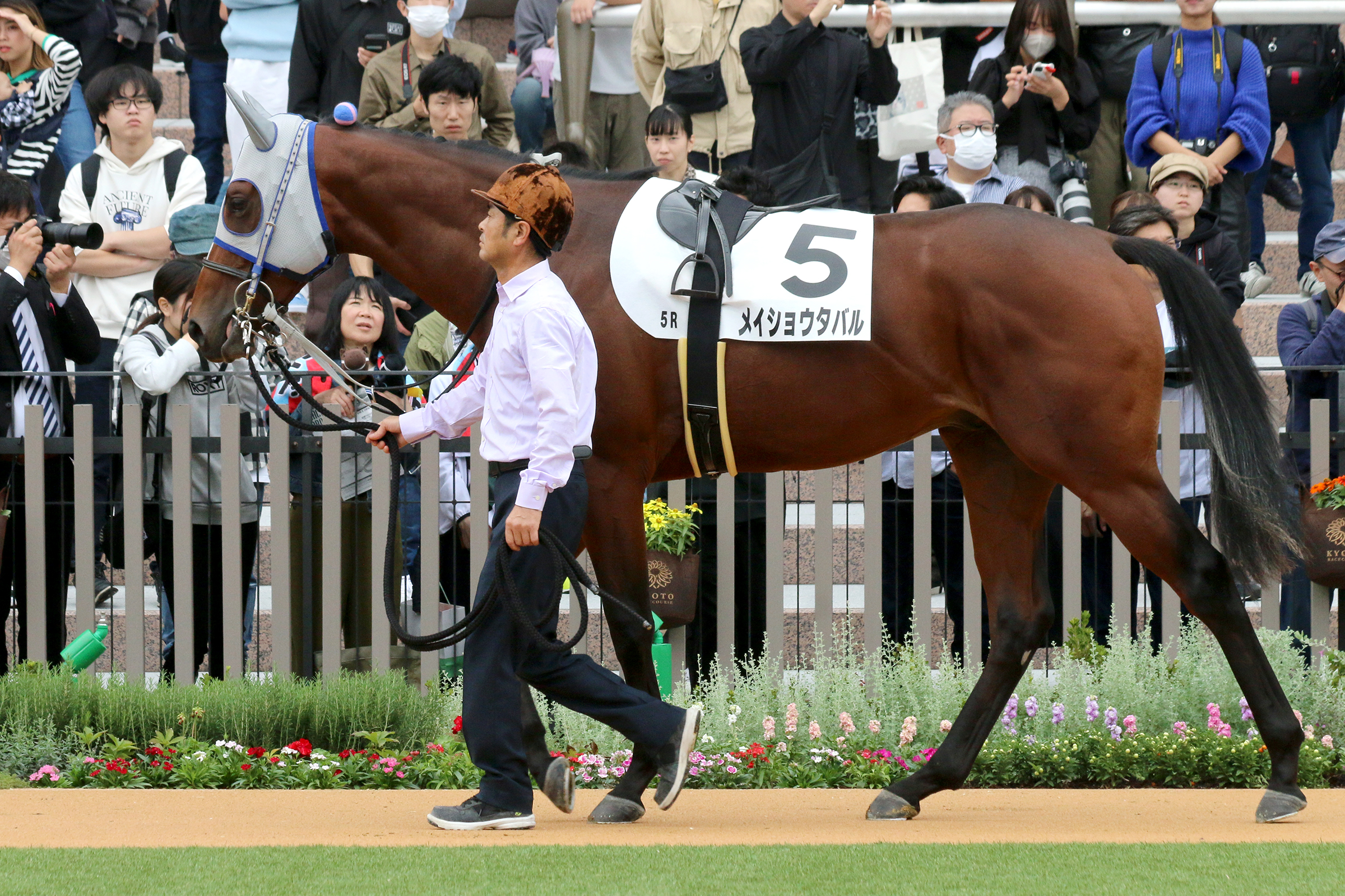 Horse Racing] Meisho Tabaru's Takarazuka Kinen race is the