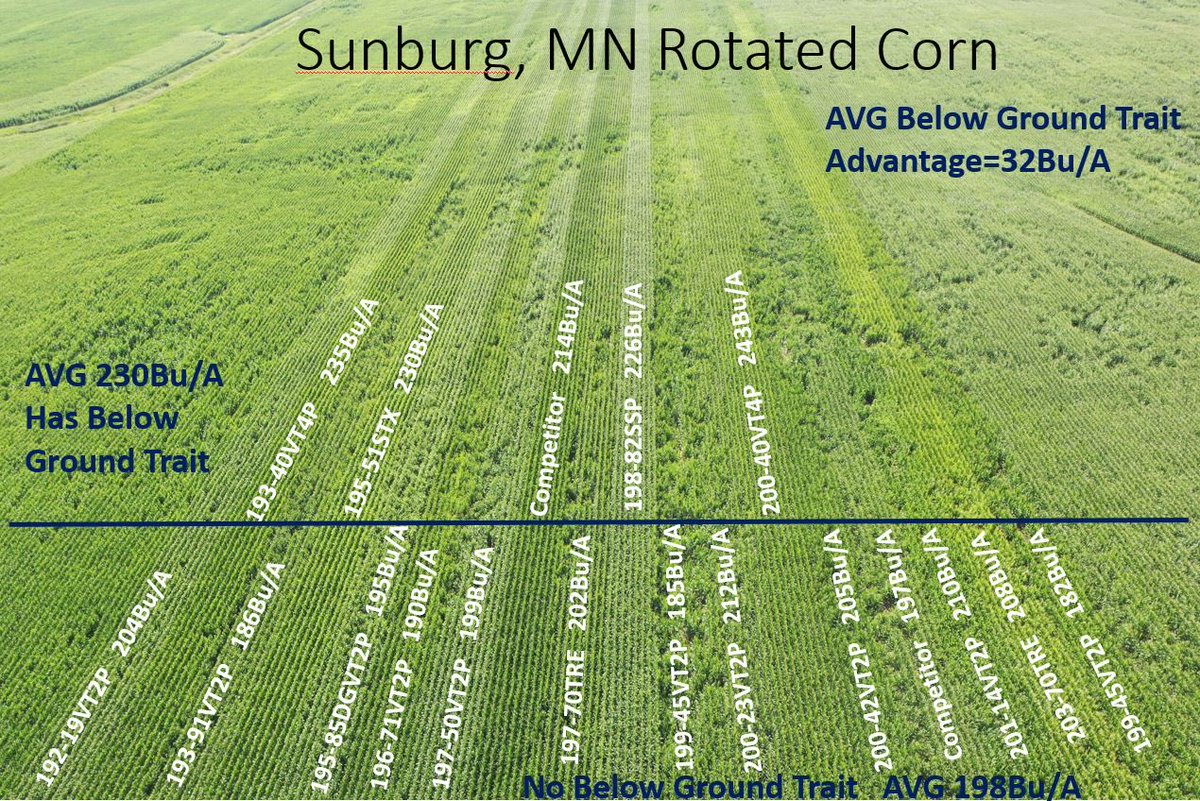 tony weis tweet media