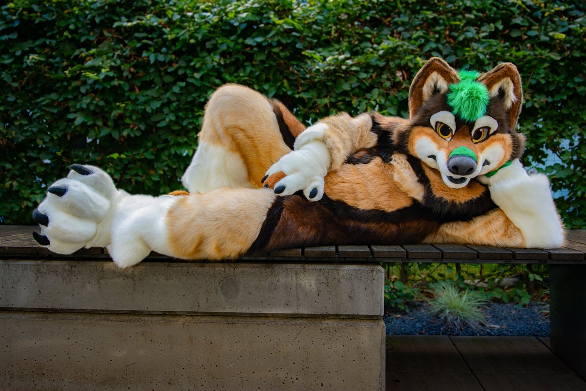 Draw me like one of your fluffy french girl 

✂️ : <a href="/Geisterwerke/">Geisterwerke</a>  
📸 :  <a href="/AmarokWolke/">Amarok</a> 

#FursuitFriday #fursuit #wolf #furry