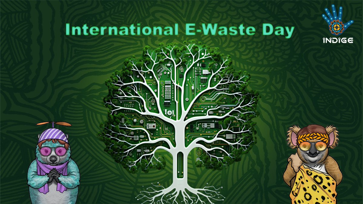 IndigeNFT tweet media