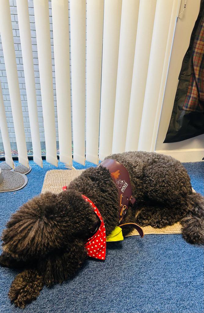 Thanks to all my colleagues for the support and encouragement since I returned to <a href="/MaynoothUni/">Maynooth University</a>  in July.   Can’t believe it’s week 4 already.  Koby is ready for the weekend! <a href="/MU_MAP/">Maynooth Access</a>