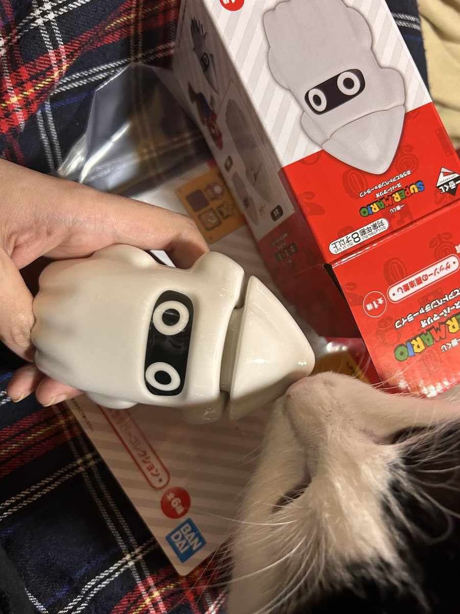 一番くじ スーパーマリオ ゲッソーの醤油差し | kotsubu Museum