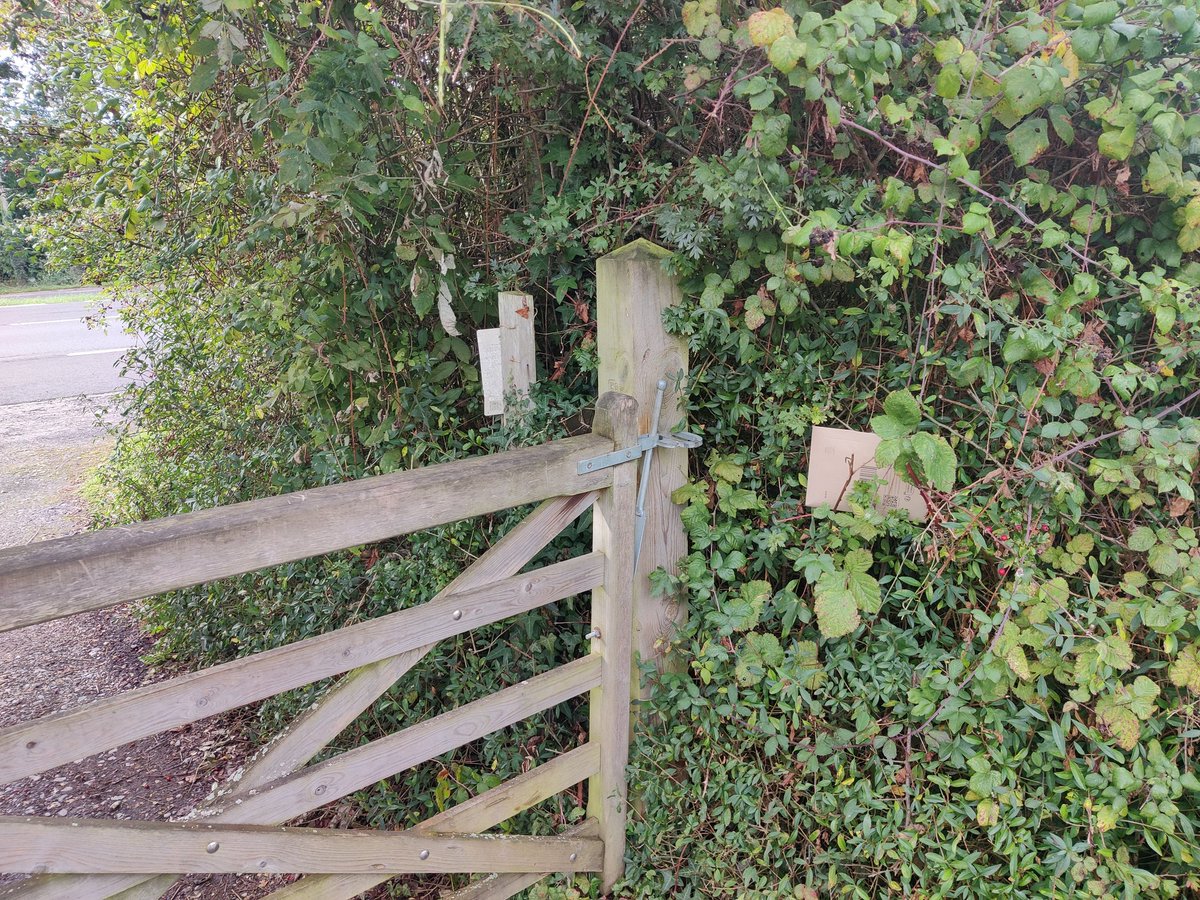 vibronicgoose's tweet photo. As always superb /s delivery service from @AmazonUK 
The first picture is where it was delivered. The second is a view from where it was left to my house... Anyone spot a postbox at all?
Sort it out. 
#amazonuk #jokes https://t.co/fQUFfTiAa7