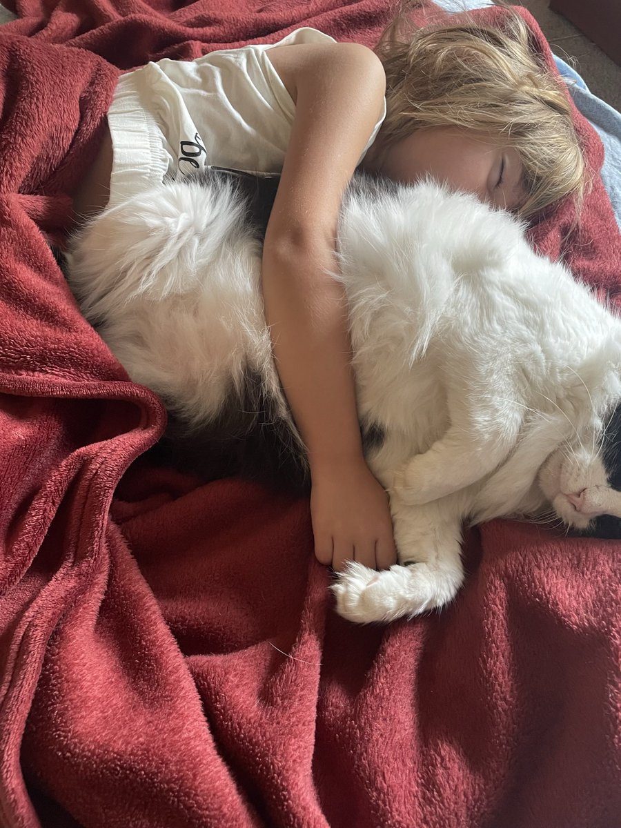 #Sextou no meio do feriado e olha a preguiça da turma! 💤❤️