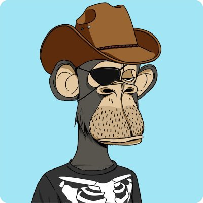 monkey in the hat😌☺️🙃