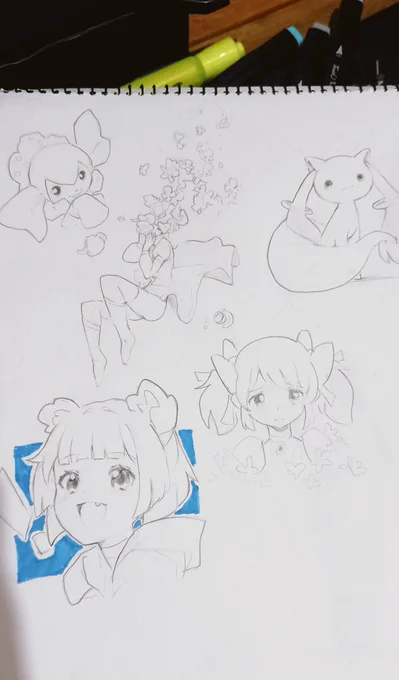 The sketches unscanned 
