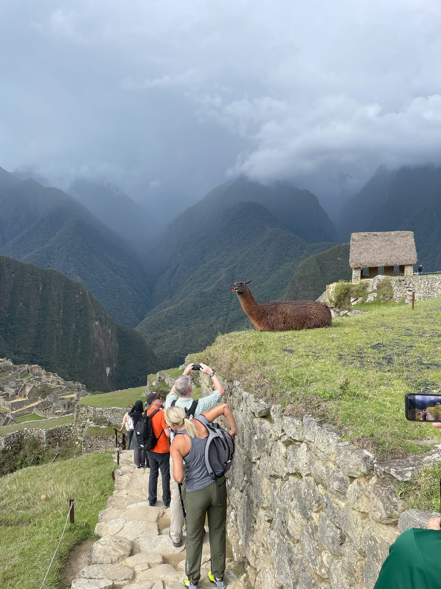 An unbelievable week at #NICESummit in beautiful Peru... Many thanks to everyone at <a href="/NICELtd/">NiCE</a>
, especially <a href="/ChrisIrwinDudek/">Chris Irwin-Dudek</a>, <a href="/EinatWeiss/">Einat Weiss</a>, <a href="/BarakEilam/">Barak Eilam</a>. The view of Machu Pichu is extraordinary. Also, llamas!