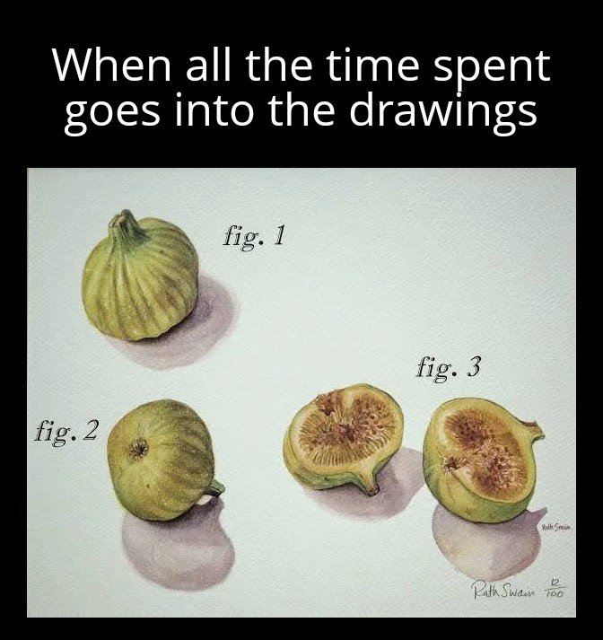 IPmemes tweet media