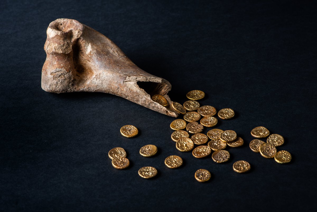 Lynn_Museum's tweet photo. The Sedgeford hoard was found by a @SedgefordArch excavation in 2003. They're 32 Iron Age, Gallo-Belgic gold staters hidden in a cow bone.
Hoards: Archaeological Treasures from West Norfolk exhibition closes Saturday 11 November. Book here: https://t.co/iiqyrHeBGG
#GoodbyeHoards https://t.co/b2h8btRjDu