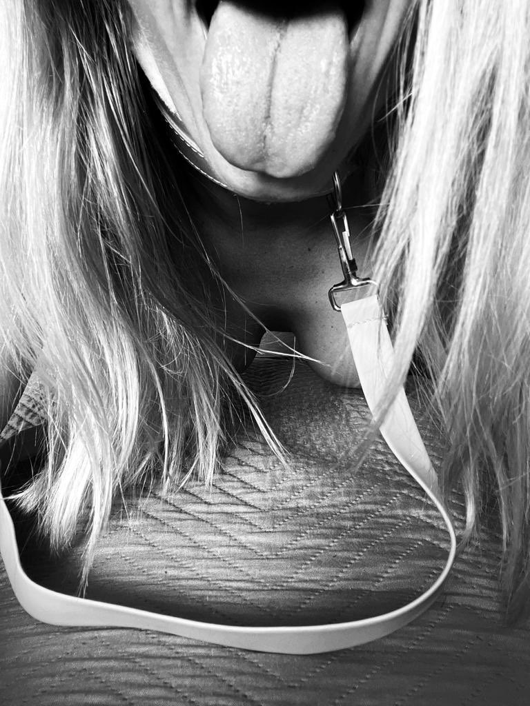 PorcaTopolina's tweet photo. Ho wants to play with my mouth?!?
Sucking? Deep throat? Or coming? https://t.co/Ef6JNz9luD