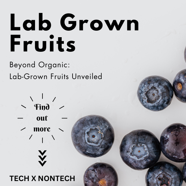 andreeahha's tweet photo. The concept of Lab-grown food has also been adopted for fruits, by the researchers at the government-backed Plant and Food Research programme in New Zealand.

LINKEDIN https://t.co/4026YY0UT9
MEDIUM https://t.co/7JxItXfh3B
SUBSTACK https://t.co/4dj9DuGuOX

#tech #climatechange https://t.co/cXUUnLOOV9