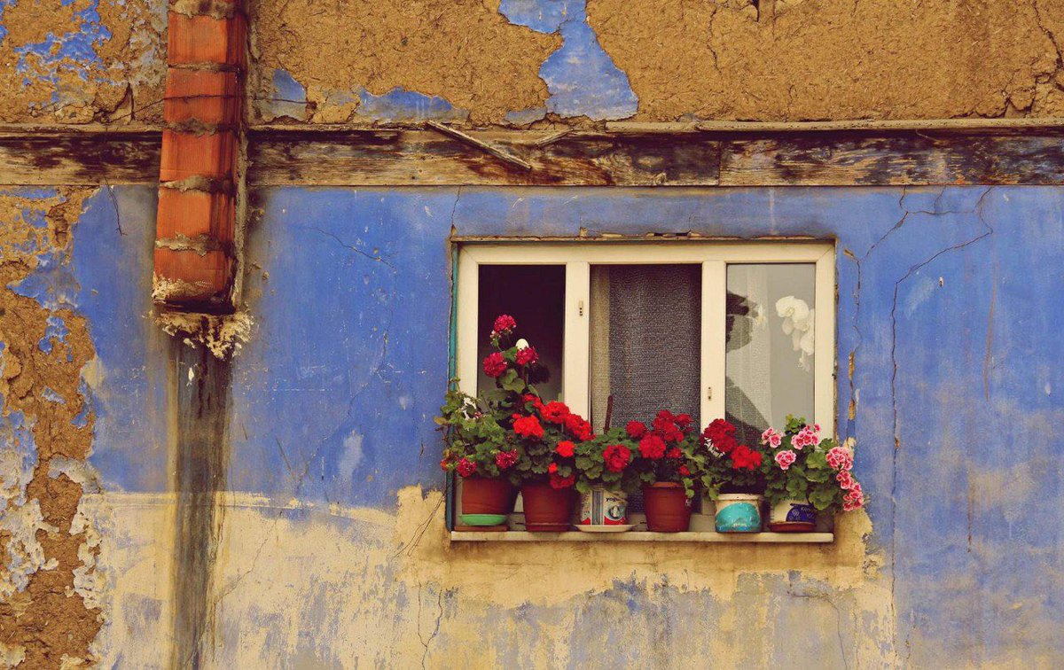 Pencerelere çağrılan doğa, doğaya açılan pencere... 

"Doğa Kent İnsan: Zıtlık mı Uyum mu?" çağrısı, fotoğraf ve video çalışmalarınızı bekliyor.

📸Nur Uruk

#SehreBAK #DogaKentInsan

<a href="/anadolu_kultur/">Anadolu Kültür</a> 
<a href="/bedizyilmaz1/">byb</a>