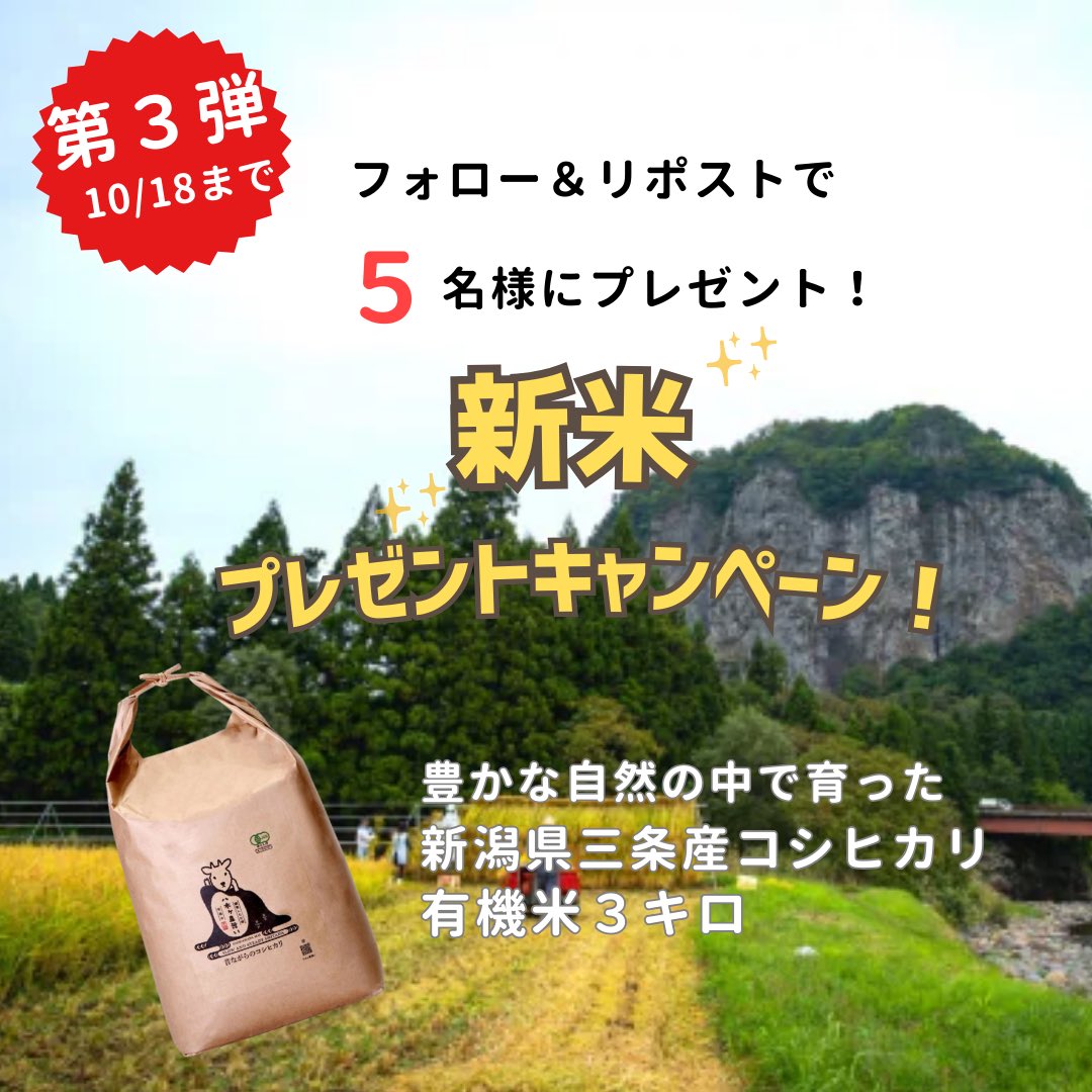 sanjo_city's tweet photo. ◆◇◆◇◆◇◆◇◆◇◆◇
第3弾！ #プレゼントキャンペーン
新潟県三条市で穫れた 
#有機米コシヒカリ　3キロを
5名様にプレゼント🎁
◆◇◆◇◆◇◆◇◆◇◆◇

《応募方法》
①三条市Ｘ
@sanjo_cityをフォロー
②本投稿を期間内にリポスト

三条産米の販売先情報や
キャンペーン詳細は三条市HPを見てね↓
https://t.co/645zuMhzSq

#プレゼントキャンペーン　
#三条市
#新潟県産コシヒカリ
#新米