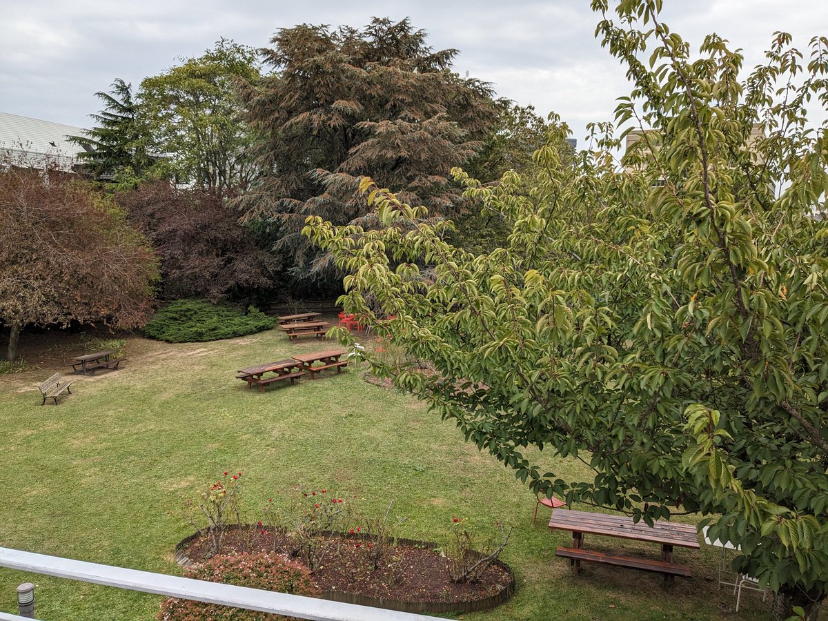 amarois's tweet image. #ANFTDM2023 : après les ateliers par outils ce matin (Gargantex, Iramutex, web services Istex, LLMs), travail sur cas d&apos;usages en groupe et rendu cet après midi
#TDM #textanddatamining #openscience #tools #datamining #NLP #researchdata