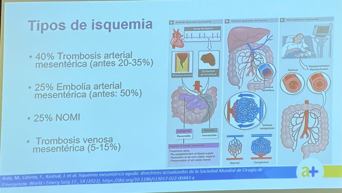 Cirurgia Althaia 🏥 tweet media
