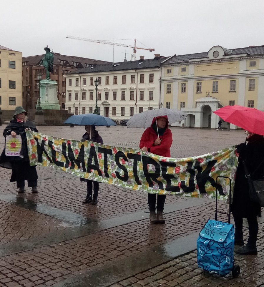 #FridaysForFuture #ClimateStrike i Göteborg den 13 oktober @FFF_goteborg