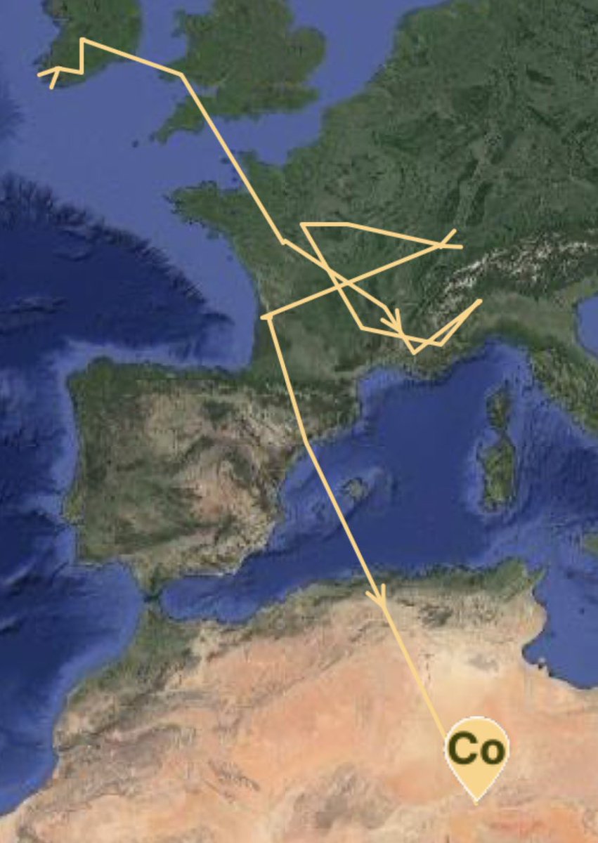 SamBayley2's tweet photo. Seems our fears were unwarranted. Cuach Cores has left Spain 🇪🇸 yesterday and crossed the Mediterranean to Algeria 🇩🇿 . He then passed to the east of the Air Mountains of northern Niger🇳🇪 and is just 325km from Nigeria 🇳🇬. Woohoo!  @KerryBirdNews @NPWSIreland @_BTO @BirdWatchIE https://t.co/iTOk2wv8KN