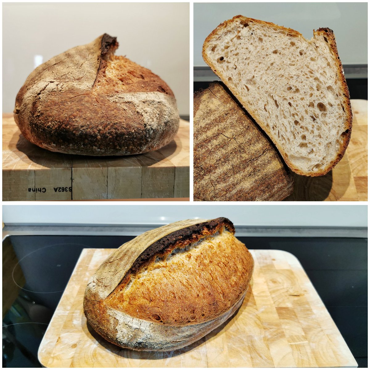 SteyManuel's tweet photo. Weizensauerteigbrot, außen knusprig, innen fluffig und saftig.
#papabackt #sauerteig #sourdough #breadscoring https://t.co/h6CODlb1yw