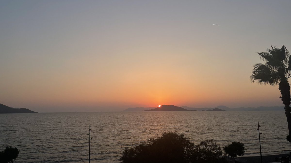 James Boddie tweet media