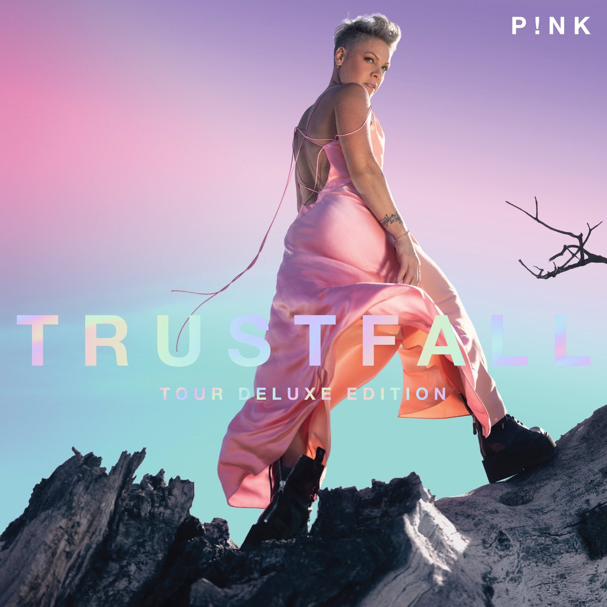 .<a href="/Pink/">P!nk</a> ‘TRUSTFALL Tour Deluxe Edition’ se lanzará el 1 de diciembre.

Contará con 9 canciones adicionales, incluida Irrelevant, y algunas versiones en vivo del Summer Carnival Tour. 

Información: <a href="/PinkChartData/">P!nk Crave</a> 
#pink #pinklatam