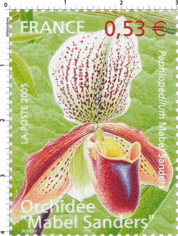 JardinLuco's tweet photo. 🌸 Les orchidées du #JardinDuLuxembourg 

👀 Aujourd'hui, zoom sur la "Paphiopedilum Mabel Sanders" 

C'est une orchidée emblématique de la collection du Jardin, créée en 1919 par le jardinier Octave Opoix. 

Le Jardin possède toujours les plantes d’origine, ce qui fait de ces orchidées les plus anciennes de la collection. 

Un timbre représentant le sabot de Vénus "Mabel Sanders a d'ailleurs été édité en 2005. 

🔙 La collection des serres du #JardinLuco rassemble aujourd'hui plus de 10 000 pots appartenant à 150 genres, soit plus de 1 350 cultivars, hybrides et espèces d’orchidées tropicales différentes.