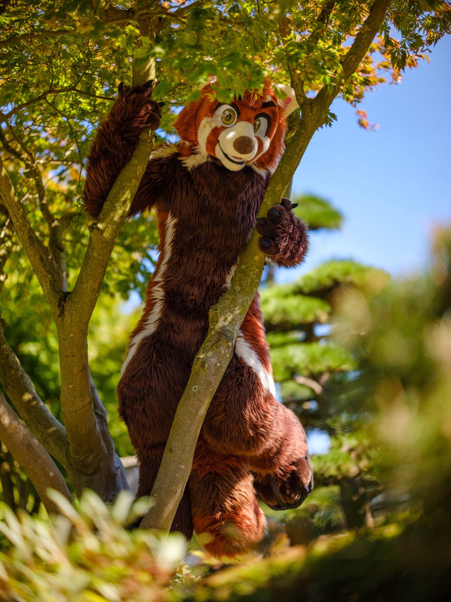 One with nature.

📸 @CaptainChaotika
#FursuitFriday #EF27 #Eurofurence27